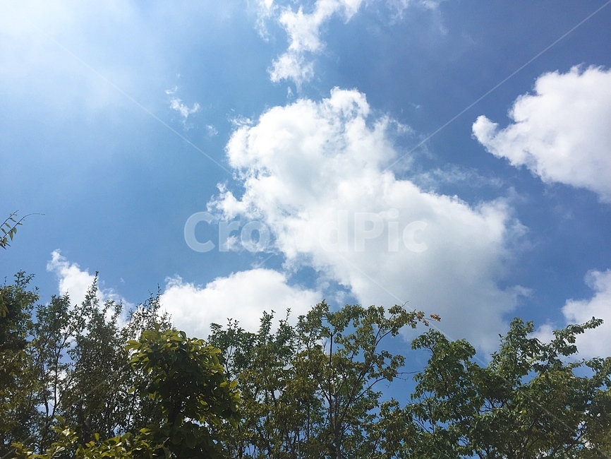 나무,하늘,구름,자연,sky,풍경,자연,풍경,nature,landscape,outdoors,옥외,weather,날씨