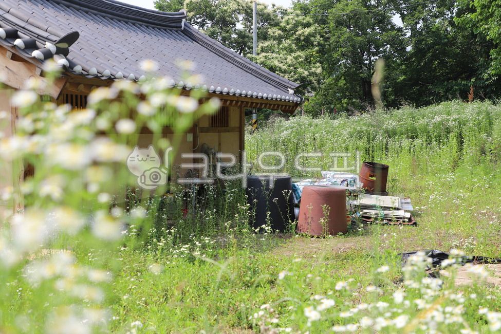 garret,folk village,inside,comfort,flower,Items not in use,Old thoughts,Asansi,wood,backyard,Emotion,Chungcheongnamdo,Oeam Folk Village