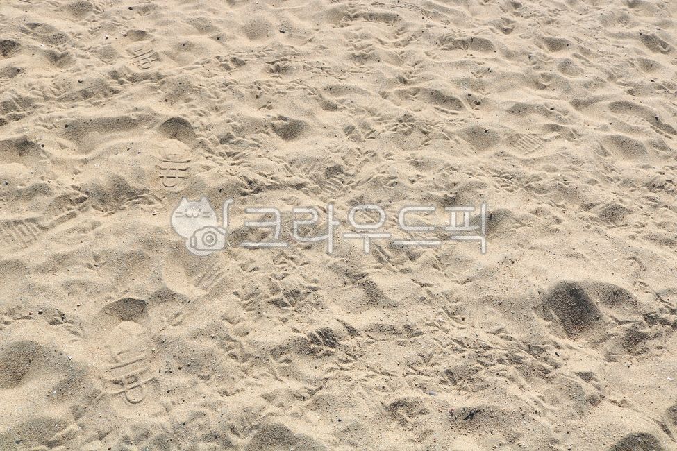 모래,모래사장,자연,모래알,바닷가,해변,발자국,발자욱,흔적,새발자국,조류발자국