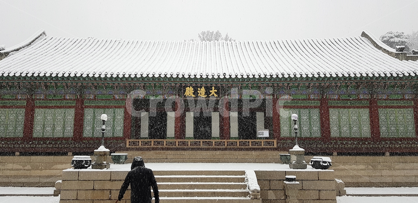 창덕궁,설경,첫눈,서설,고궁,palace,firstsnow,changdeokgungpalace,겨울,계절,winter,season,한국전통,한국문화,korean traditional,korean culture,랜드마크,landmark,tourist attraction,한국랜드마크,한국관광지,한국명소,korea landmark,korea tourist attraction,건축물,건물외관,exterior,building,structure,architecture,construction
