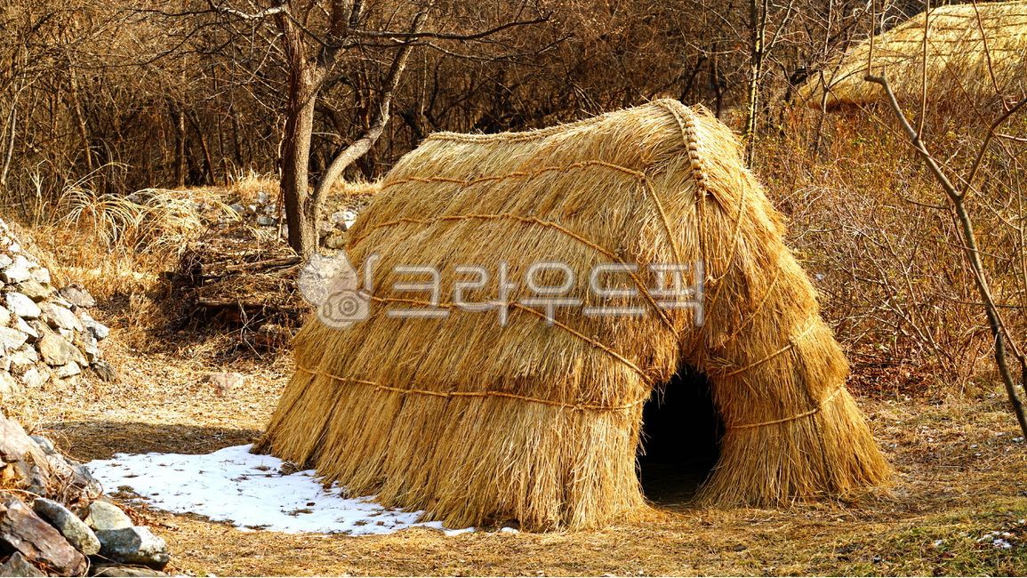 가옥,초가집,초가,움막집,움막,집,농촌,전통가옥,hut,cottage