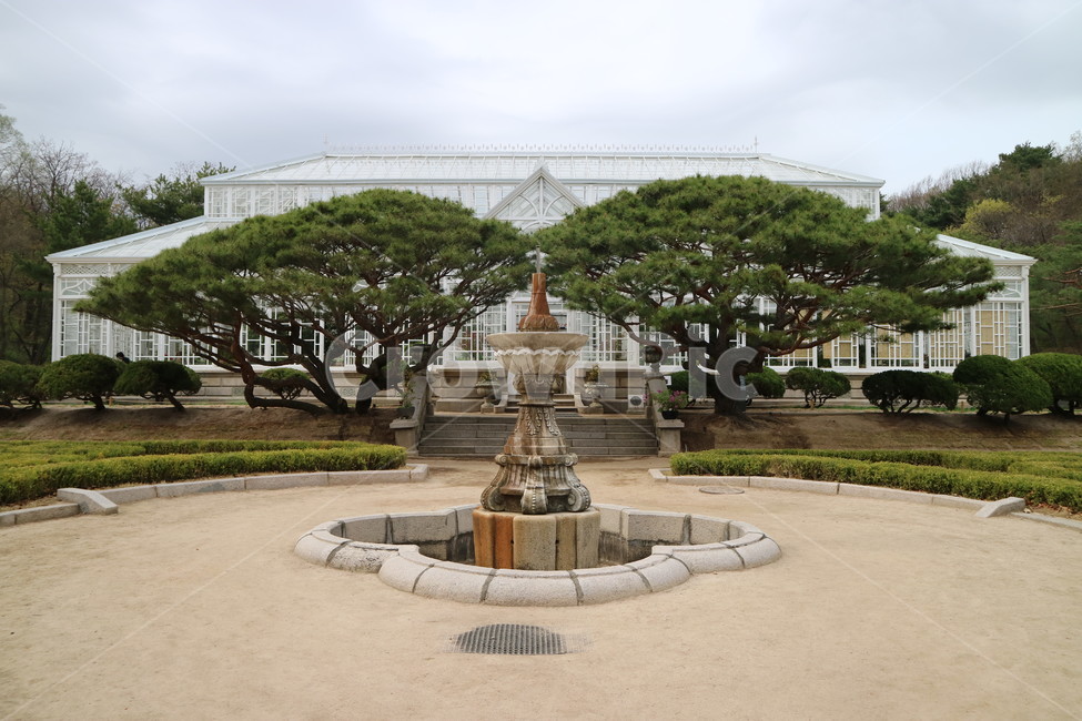 창경궁,봄,대온실,풍경,소나무,분수대,한국전통,한국문화,korean traditional,korean culture,랜드마크,landmark,tourist attraction,한국랜드마크,한국관광지,한국명소,korea landmark,korea tourist attraction