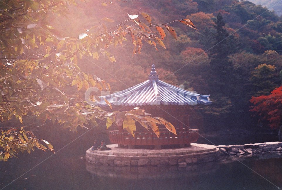 내장산,단풍,가을,호수,풍경,가을,계절,fall,autumn,season,자연,풍경,nature,landscape,한국자연풍경,한국자연경관,korea nature landscape,한국전통,한국문화,korean traditional,korean culture,감성,sensible,feeling,휴식,힐링,rest,relaxation,healing,plant,식물,leaf,잎,tree,나무