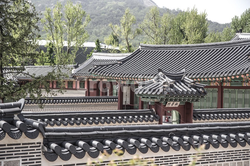 building,건물,architecture,건축물,한국식건축물,기와,경복궁