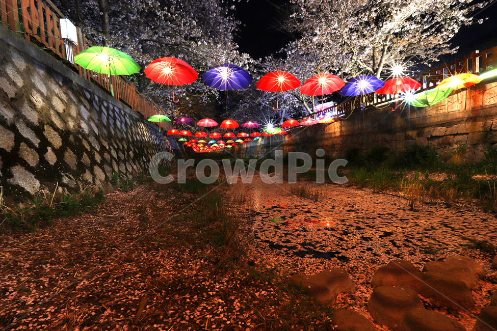 진해,여좌천,벚꽃축제,군항제,반영,우산,봄,계절,springseason,야경,밤,풍경,nightscape,nightlandscape,축제행사,festivalcarnivalevent,감성,sensiblefeeling,봄,계절,spring,season,야경,밤,풍경,nightscape,night,landscape,축제,행사,festival,carnival,event