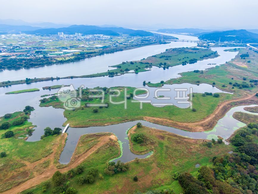 달성습지,습지,낙동강,대구시,대구,강,물,식물,야외,실외,자연,풍경,하늘,흐림,녹색,초록색,여름,달성군