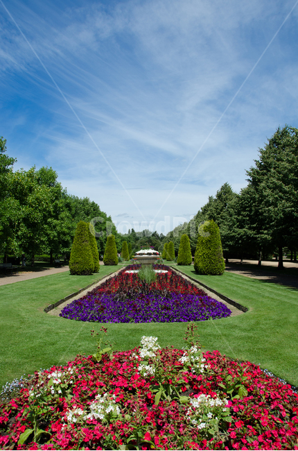 영국,리젠트파크,꽃,공원,파크,화원,하늘,배경,백그라운드,나무,꽃밭,분수,정원,휴식,릴렉스,여유,리젠트파크