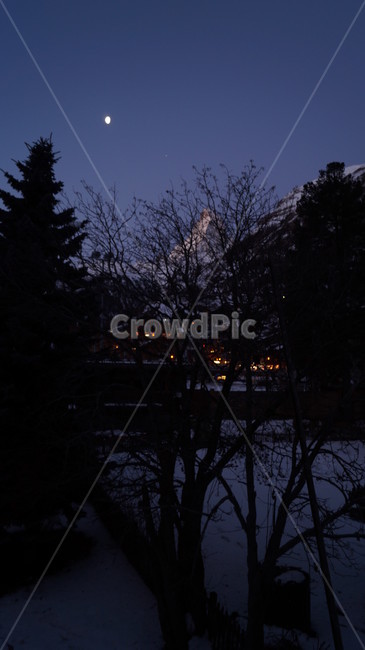 야경,보라색,분위기,산,나무,달,야경,밤,풍경,nightscape,night,landscape,식물,자연,plants,nature,나무,trees,wood,outdoors,옥외