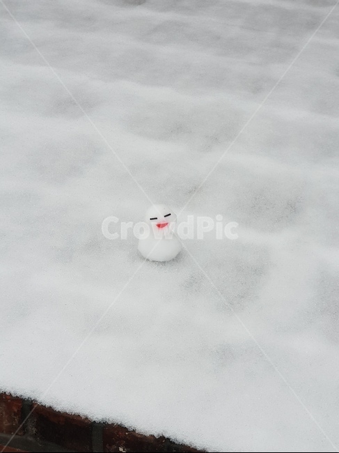 nature,자연,outdoors,옥외,눈사람,겨울,계절,winter,season