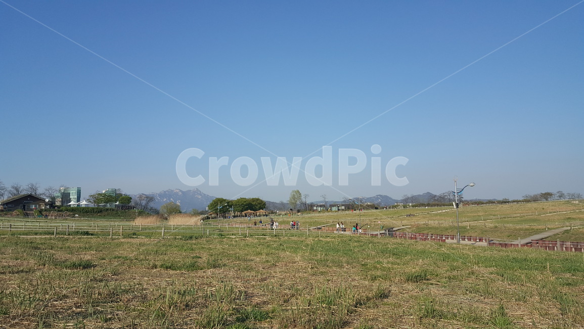 공원,들판,하늘,배경,파란,자연,풍경,nature,landscape,field,들,outdoors,옥외,grassland,목초지