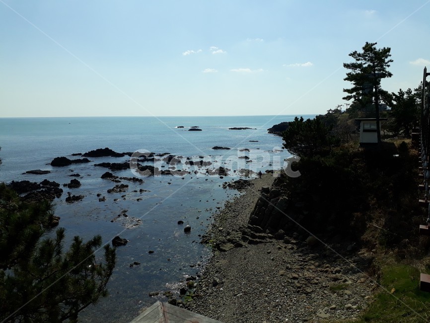 물,옥외,자연,바다,바위,나무,하늘,낭떠러지,water,outdoors,nature,sea,tree,sky,precipice,동해,자연,풍경,nature,landscape
