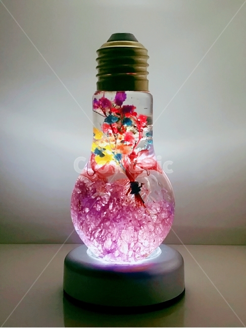 하바플라리움,안개꽃,전시용,꽃,식물표본,led,전구