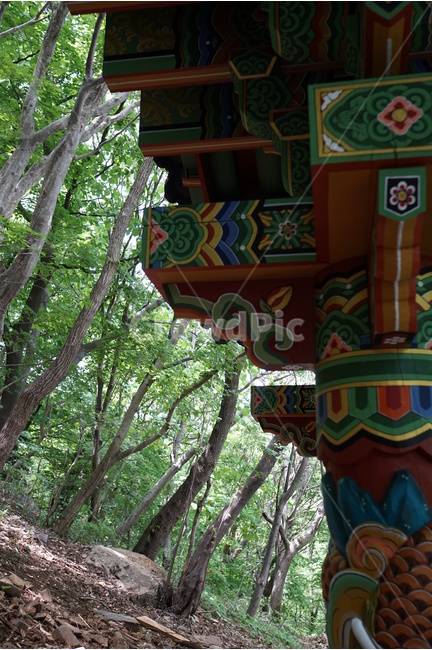 절,향일암,사찰,여수,불교,전통건축,단청,한국전통,한국문화,korean traditional,korean culture,건축물,건물외관,exterior,building,structure,architecture,construction