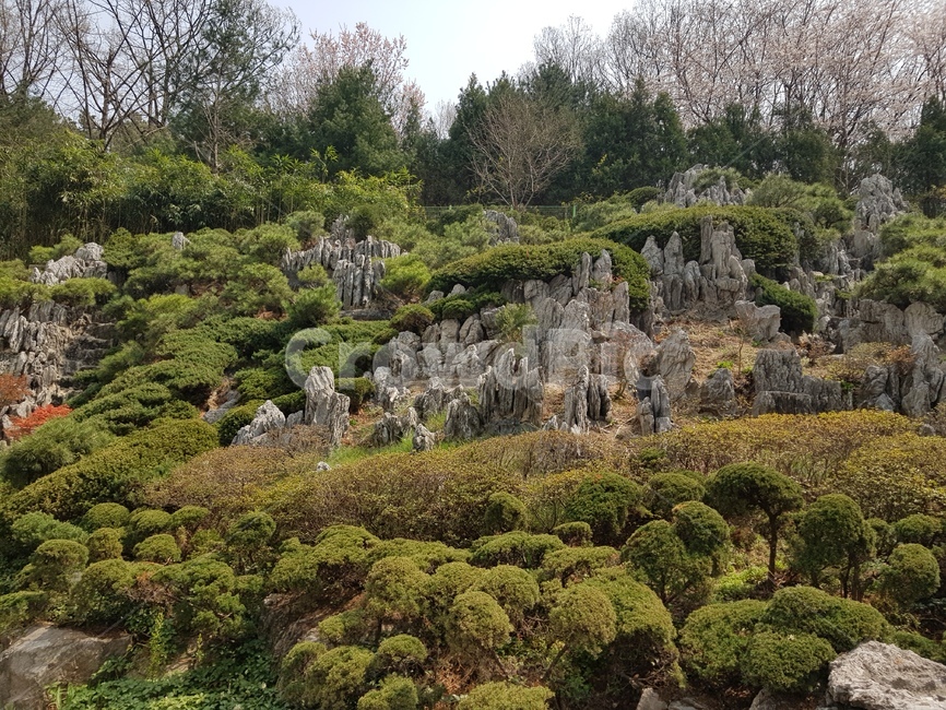 outdoors,옥외,nature,자연,plant,식물,vegetation,초목