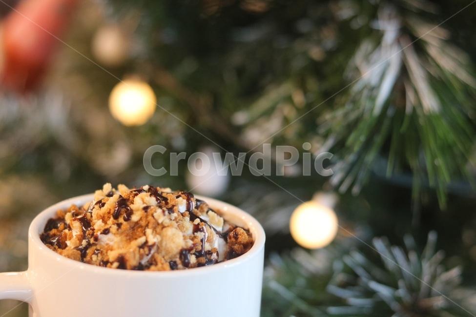 plant,식물,나무,카페,라떼,힐링,커피,카페,coffee,cafe