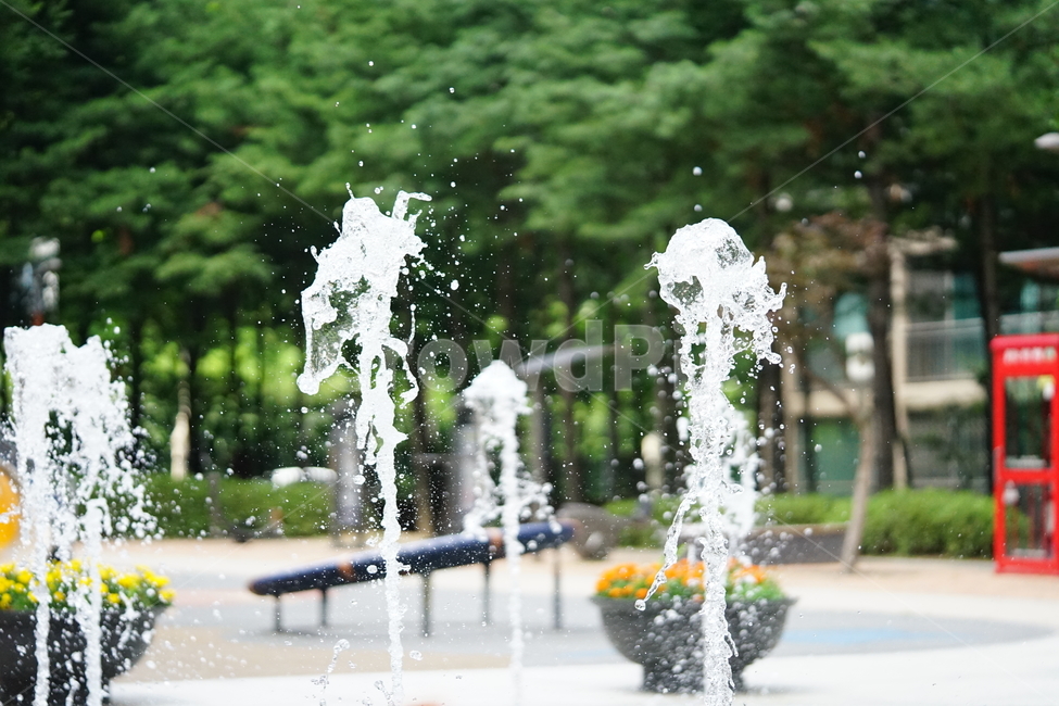 분수,물,물줄기,여름,계절,water,순간,순간포착,더위,summer,여름,계절,summer,season