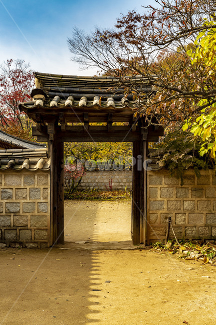 한국민속촌,전통가옥,대문,그림자,가을,단풍,전통건축물,한옥,고옥,한국의미,감성,정원,가을,계절,fall,autumn,season,한국전통,한국문화,korean traditional,korean culture,건축물,건물외관,exterior,building,structure,architecture,construction,garden,outdoors,옥외,gate,문