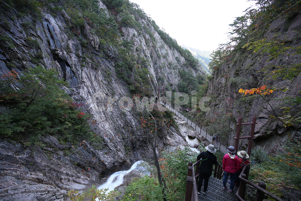 산,설악산,폭포,moutain,falls,계곡,valley,자연,풍경,nature,landscape,사람들,대중,군중,other people,crowd,outdoors,옥외