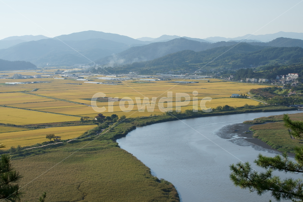 순천만,순천만습지,습지,자연,nature,koreanature,landmark,wetland,korea