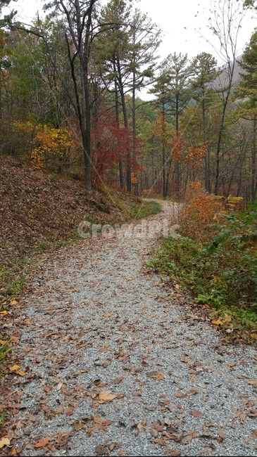 흙길,road,자갈,바닥,산길