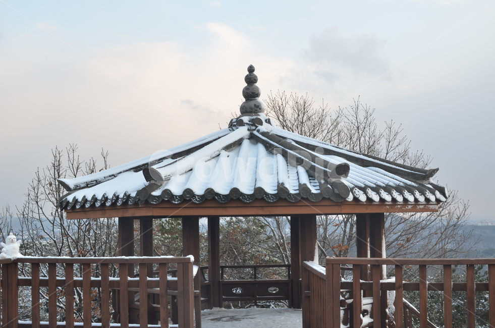 정자,눈,정상,겨울,산,겨울,계절,winter,season