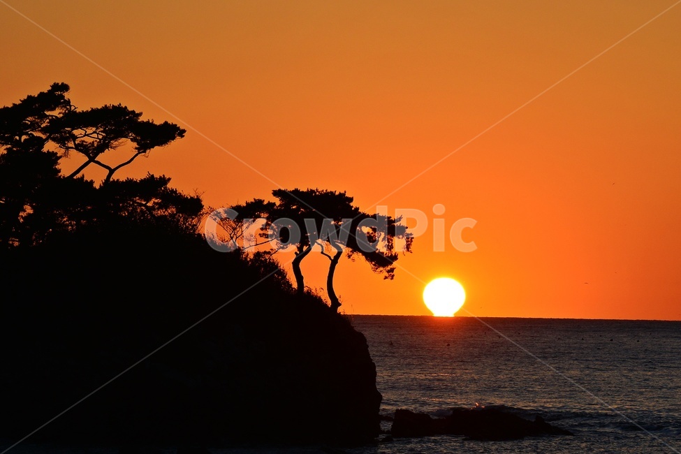 부안,솔섬,솔섬일몰,nature,자연,outdoors,옥외,sky,하늘,redsky,붉은하늘,sunset,일몰,dusk,노을,바다,해안,해변