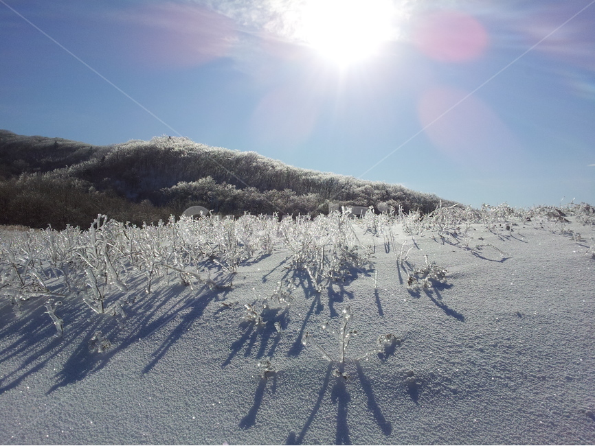 오대산,상고대,설경,눈,겨울,국립공원,겨울,계절,winter,season,자연,풍경,nature,landscape,outdoors,옥외,flare,플레어,light,빛