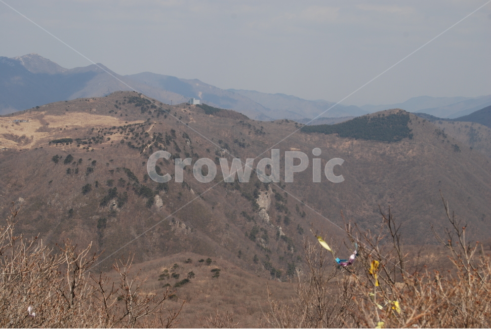 밀양재약산,천황산,재약산사자평원,결빙지,얼음골,등산로,능선,치유,여행,돌,산행,힐링,자연,동행,등산,계절,한국,한국명산,한국등산,풍경,나무,하늘,바람,땅,자연,풍경,nature,landscape,한국자연풍경,한국자연경관,korea nature landscape,outdoors,옥외,slope,경사