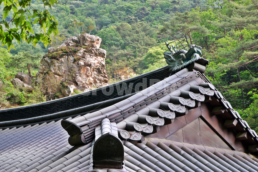 귀두,용마루,자재암,벽사,용,전각,소요산,사찰,한국전통,한국문화,korean traditional,korean culture,건축물,건물외관,exterior,building,structure,architecture,construction
