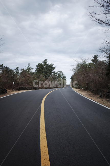 road,도로,asphalt,아스팔트,freeway,highway,고속도로,숲,텅빈도로,길,구름,cloud