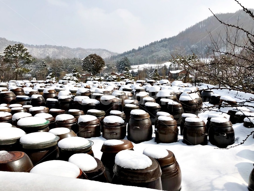 장독,장독대,전통,눈,눈쌓인,설경,장관,한국,이미지,korea,image,tradition,snow,겨울,계절,winter,season,한국전통,한국문화,korean traditional,korean culture