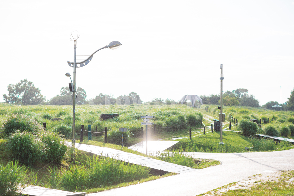 하늘,구름,비,비구름,소나기,풍경,길,자연,풍경,nature,landscape,lamp post,램프 포스트