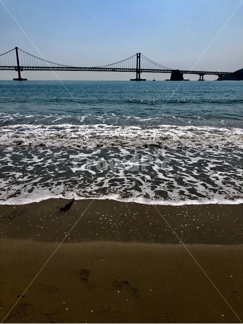 경포대,부산,바다,경포대해수욕장,해수욕장,경포대교,부산바다,여름,여름바다,감성,기억,추억