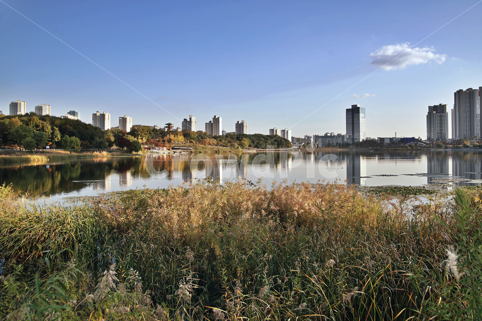 광교호수공원,영통,수원,공원,아파트,원천저수지,반영,가을,갈대,도시,풍경,city,landscape,한국도시풍경,한국도시경관,korea cityscape