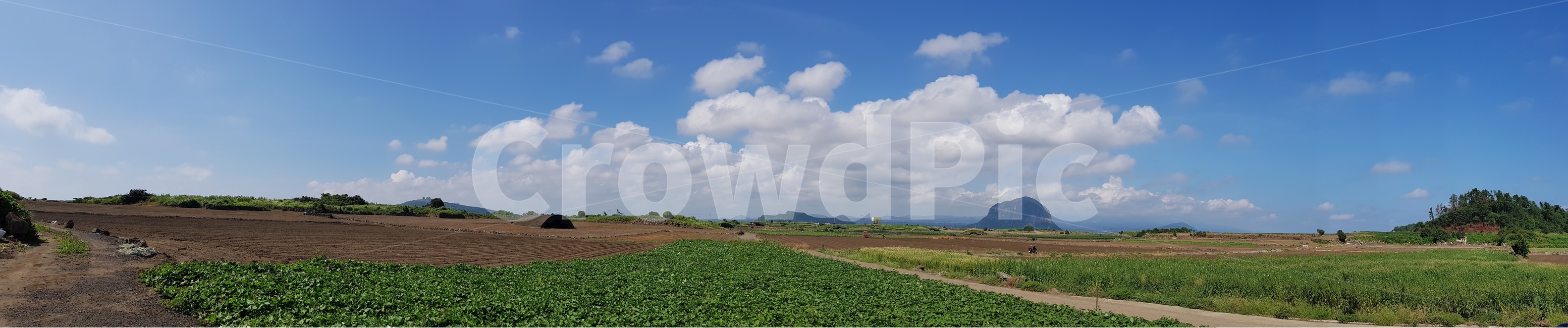 제주도,산방산,배경,파란하늘,구름,jejuisland,blue,sky,cloud,밭,와이드,풍경,scenery,background,자연,풍경,nature,landscape,제주도,jeju,jeju island,weather,날씨,outdoors,옥외,하늘,cumulus,적운