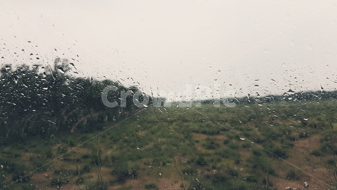 비,빗방울,창문,감성,초원,자연,흐린날,비,비오는날,rain,rainy