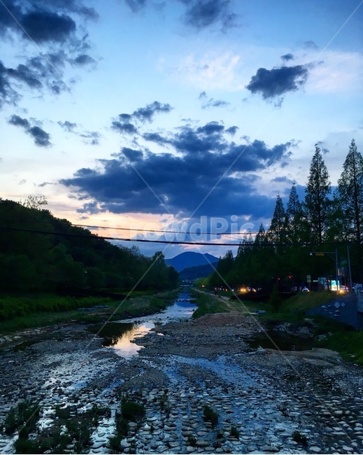 풍경,길거리,길거리풍경,하늘,하늘풍경,구름,구름풍경,구도,나무,나무풍경,해질녘,노을,전구,색채,색감