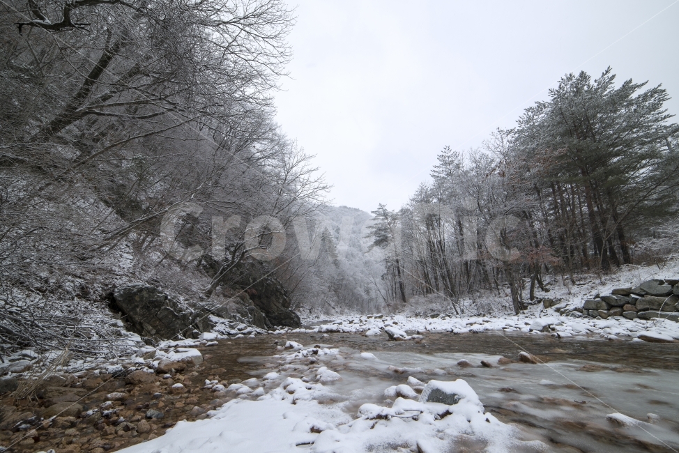 설악산,내린천,설경,숲,상고대,눈,겨울,나무,강원도,추위,강추위,흰색,하얀색,백설,배경,설산,풍경,자연,여행,추운,야외,스노우,화이트,바람,눈꽃,산행,겨울산,산,나무가지,눈오는,하천,얼음,자갈,바위,소나무,계곡,흐르다,겨울,계절,winter,season,자연,풍경,nature,landscape,한국자연풍경,한국자연경관,korea nature landscape,outdoors,옥외,ice,tree,fir,전나무,plant,식물,abies,아비