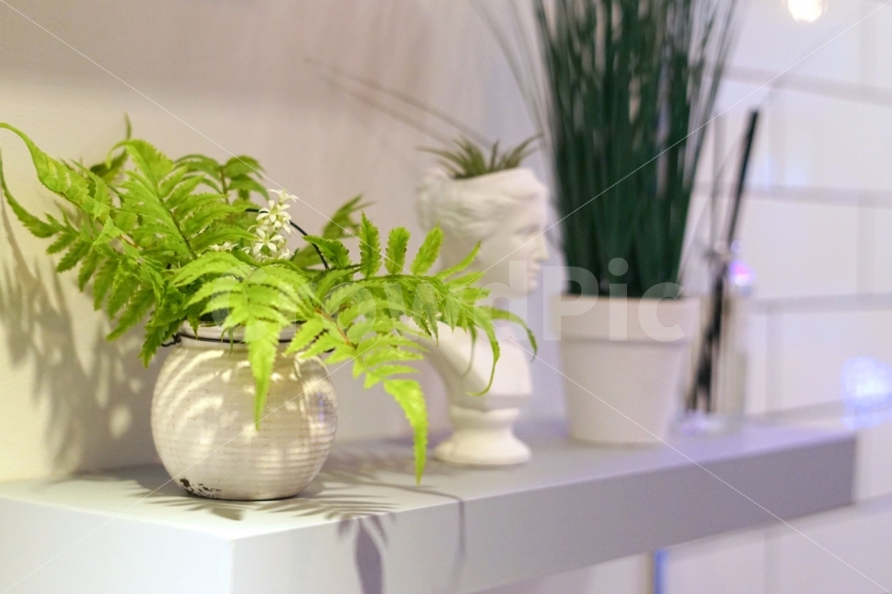 인테리어,식물,조화,카페,실내,분위기,interior,plant,cafe,mood,하얀,흰,white,조명,light,식물,자연,plants,nature,인테리어,실내디자인,interior design