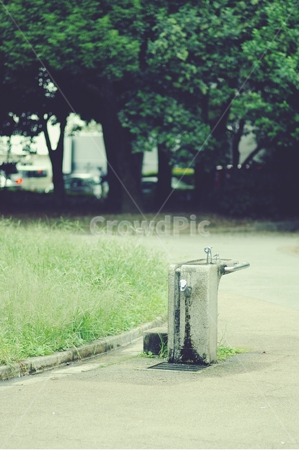 공원,park,수도,물,water,drink