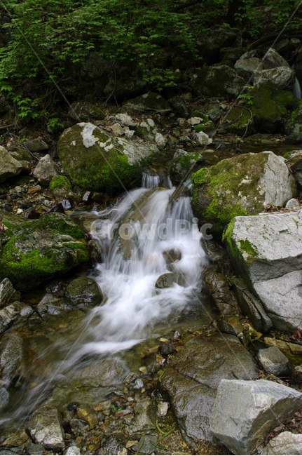 계곡,바위,물,강물,이끼,식물,자연,풍경,nature,landscape,water,plant,outdoors,옥외