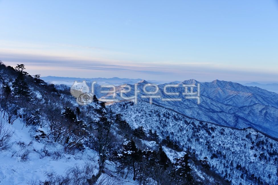 겨울, 덕유산, 눈산, 식물, 겨울산, 사진,이미지,일러스트,캘리그라피 - 깨비선생작가