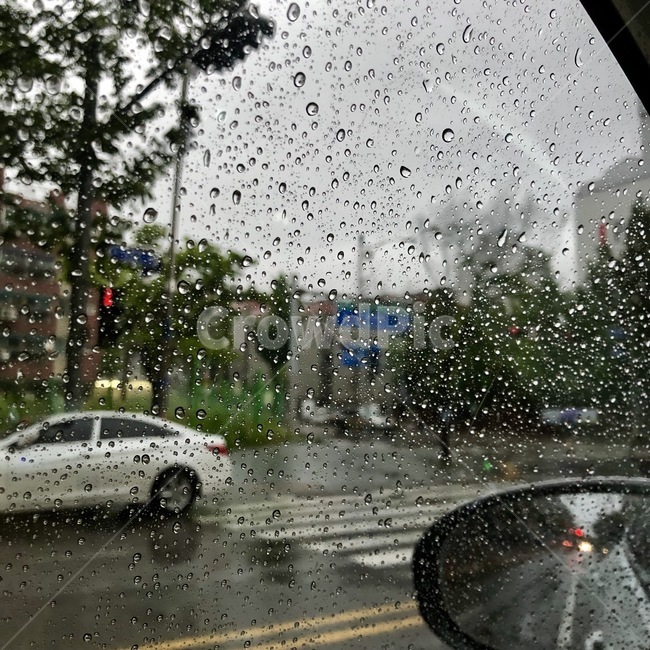 비,rain,풍경,감성,날씨