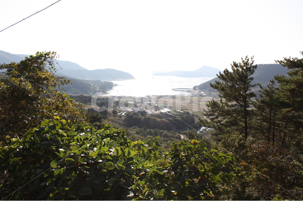 바다,풍경,하늘,산,나무,자연,풍경,nature,landscape,한국자연풍경,한국자연경관,korea nature landscape,tree,plant,식물,outdoors,옥외