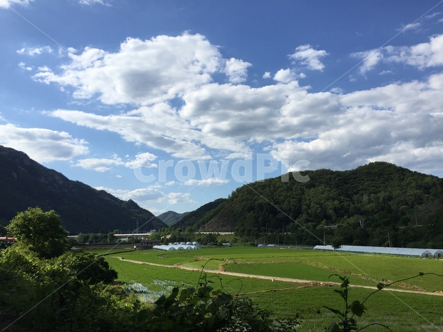 하늘,초록,들판,여유,산,레일바이크,시골,마을,풍경,landscape,country,rural,town