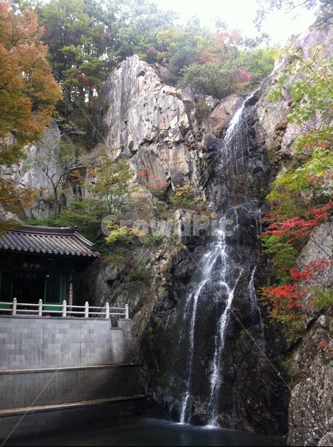 폭포,물,절벽,나무,단풍,암벽,자연,풍경,nature,landscape