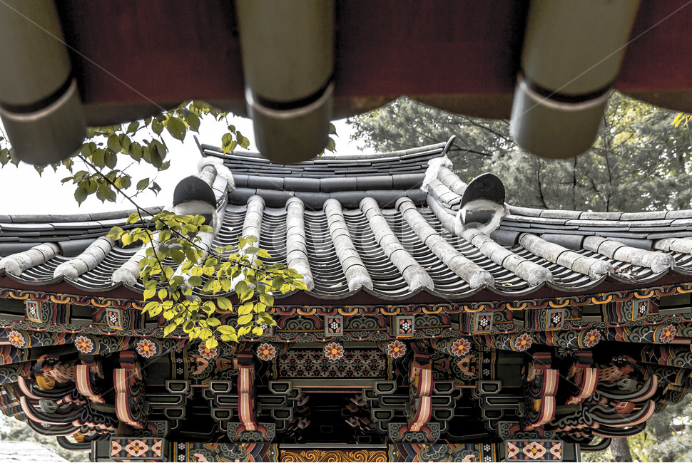 처마,정자,문양,문화,기와,한국전통,한국문화,korean traditional,korean culture,건축물,건물외관,exterior,building,structure,architecture,construction