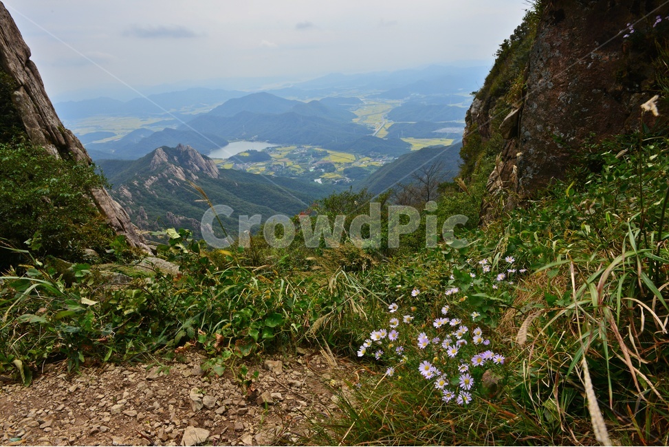 cliff,낭떠러지,nature,자연,outdoors,옥외,mountainrange,산맥,mountain,산,slope,경사,scenery,풍경,landscape,경치,영암,월출산,공원,국립공원,들녁,영암들녁,농사,농업,농경지,경작