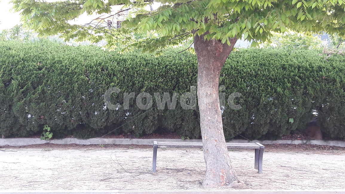 나무,밴치,쉼터,담장,초록,풍경,흙,식물,자연,plants,nature
