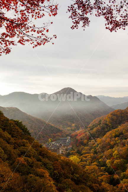 백양사,백암산,가을,단풍,산,장성군,사찰,절,산행,등산,가을,계절,fall,autumn,season,자연,풍경,nature,landscape,한국자연풍경,한국자연경관,korea nature landscape,outdoors,옥외,mountain,mountain range,산맥